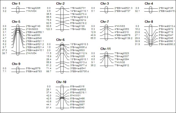 From the Main window, select 
	Draw Chromosomes to display each chromosome, including its marker labels and 
	intervals.