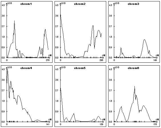 From the graph display, select 
	Tools Display One Page Format to display LOD profiles chromosome by chromosome for 
	publication purposes.